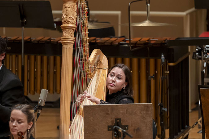 Closeup of a harp player