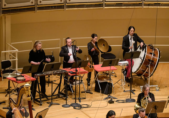 A group shot of the CSO percussion section performing on stage