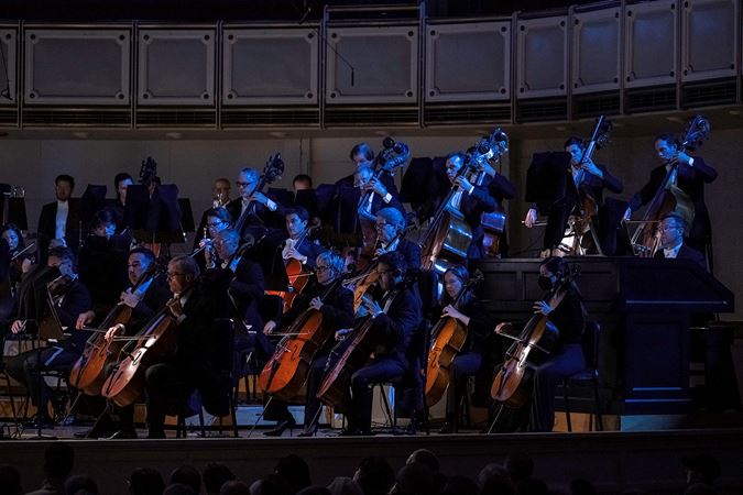 Group shot of CSO bass and cello section