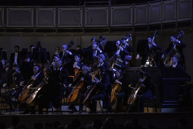 Group shot of CSO bass and cello section