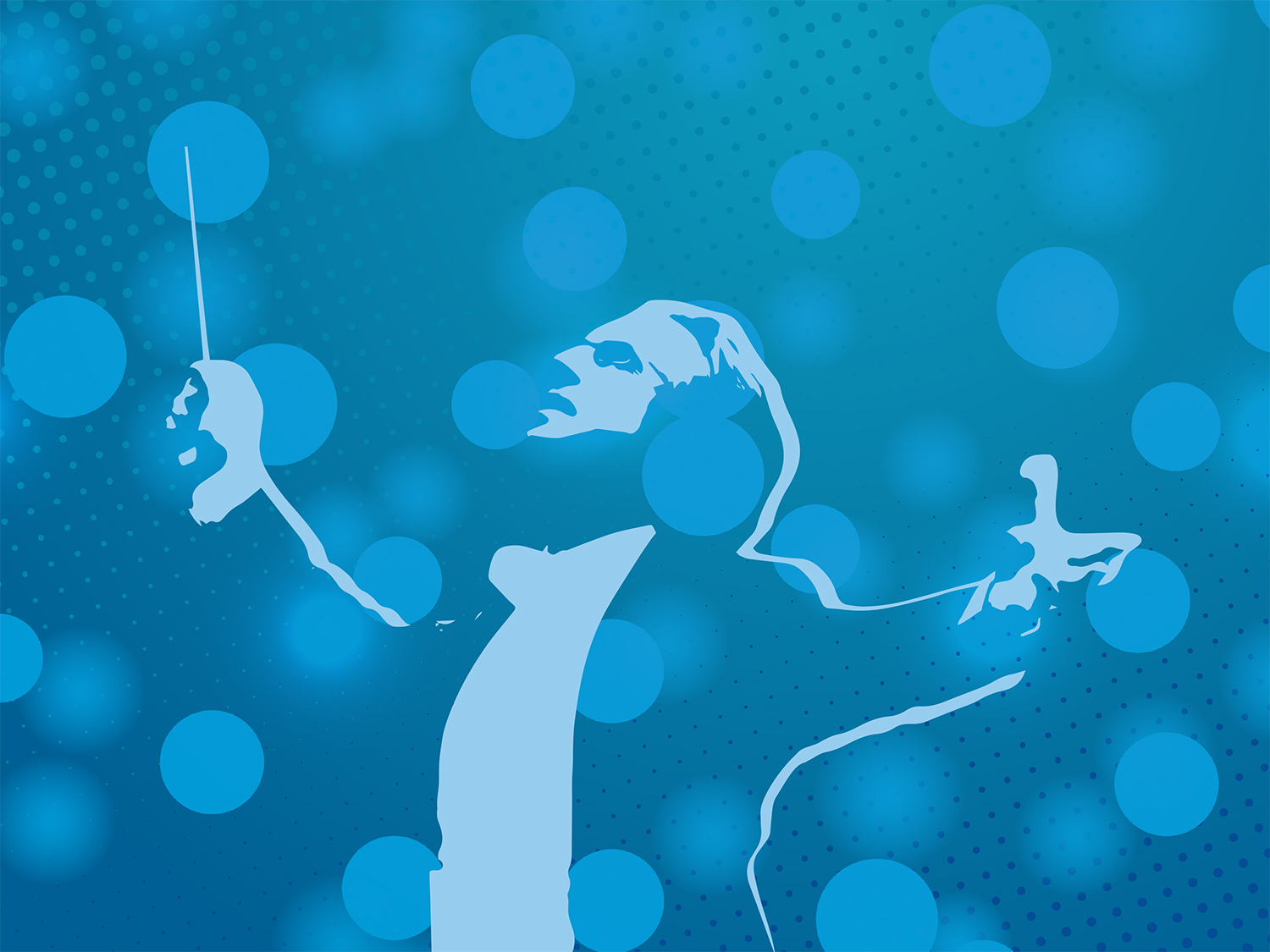 Muti Sleeping Beauty & Swan Lake