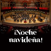 Noche navideña