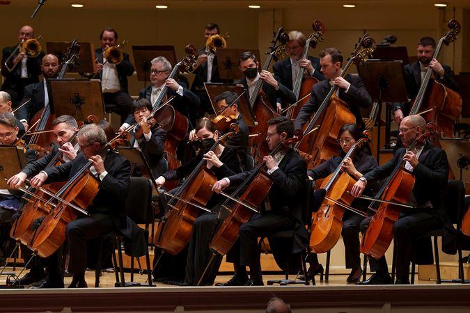 the cello and bass sections perform