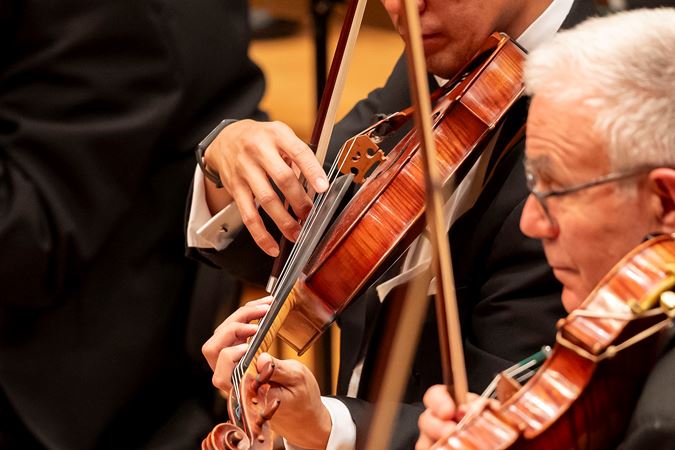 close-up of a viola played pizzicato
