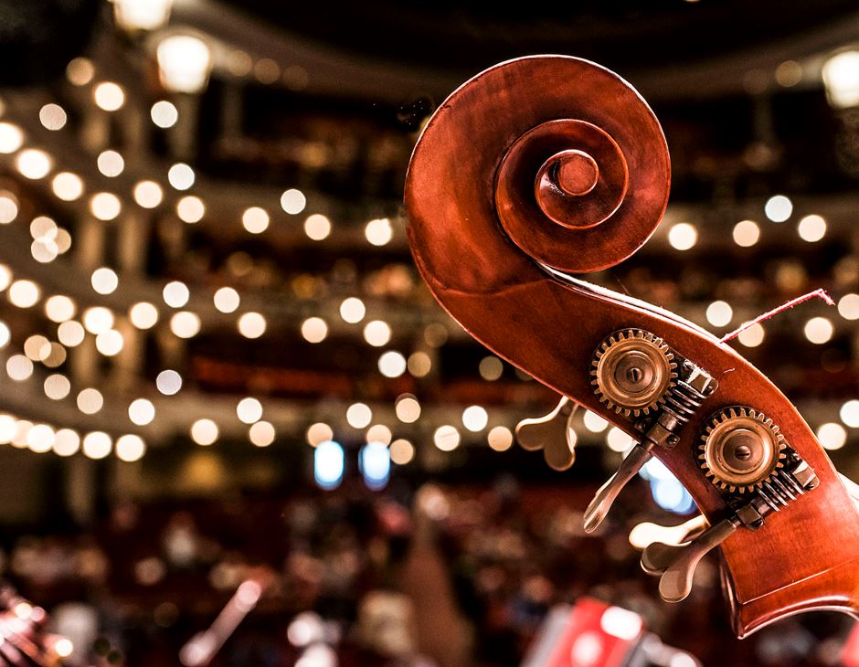 still life in Orchestra Hall