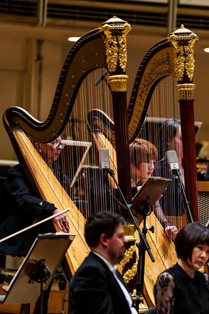 Group action shot of the CSO harp players, including longtime CSO harp player Lynne Turner