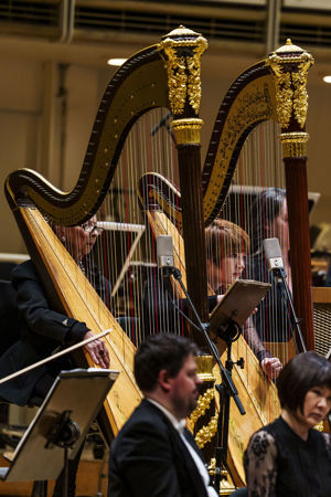 Group action shot of the CSO harp players, including longtime CSO harp player Lynne Turner