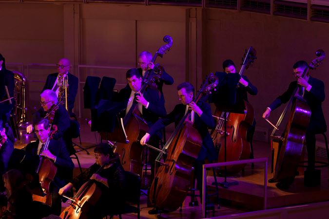 Action group shot of the CSO bass section