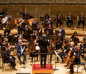 The Young Person’s Guide to the Orchestra 