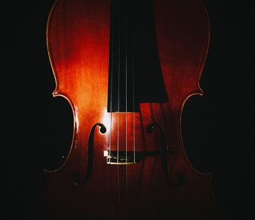 Civic String Quartet Plays Haydn & Schumann