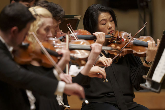 row of violinists