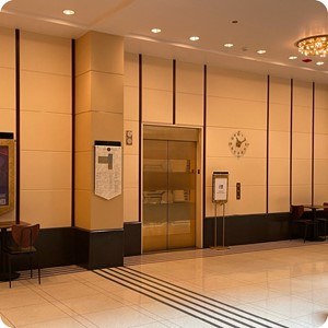 Rotunda Elevator
