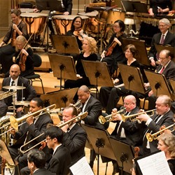 CSO x JLCO