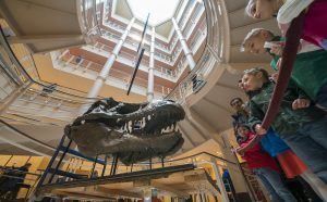 Students attend Let’s Explore at Symphony Center